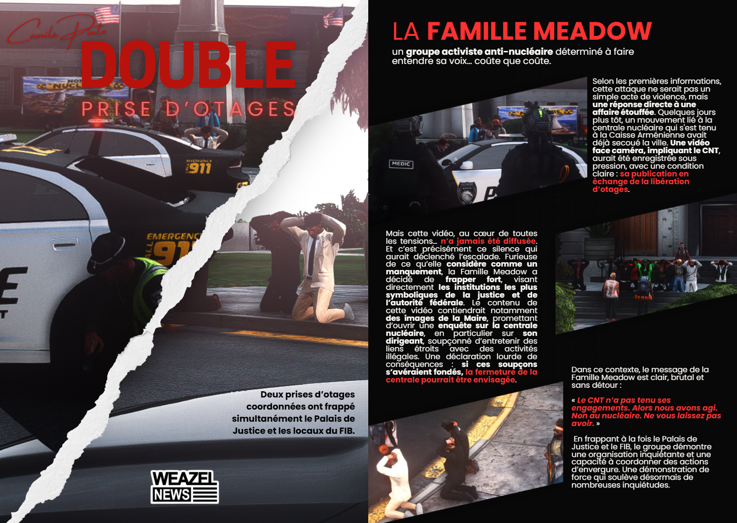Article journal 1